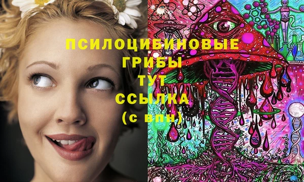 мяу мяу мука Медвежьегорск